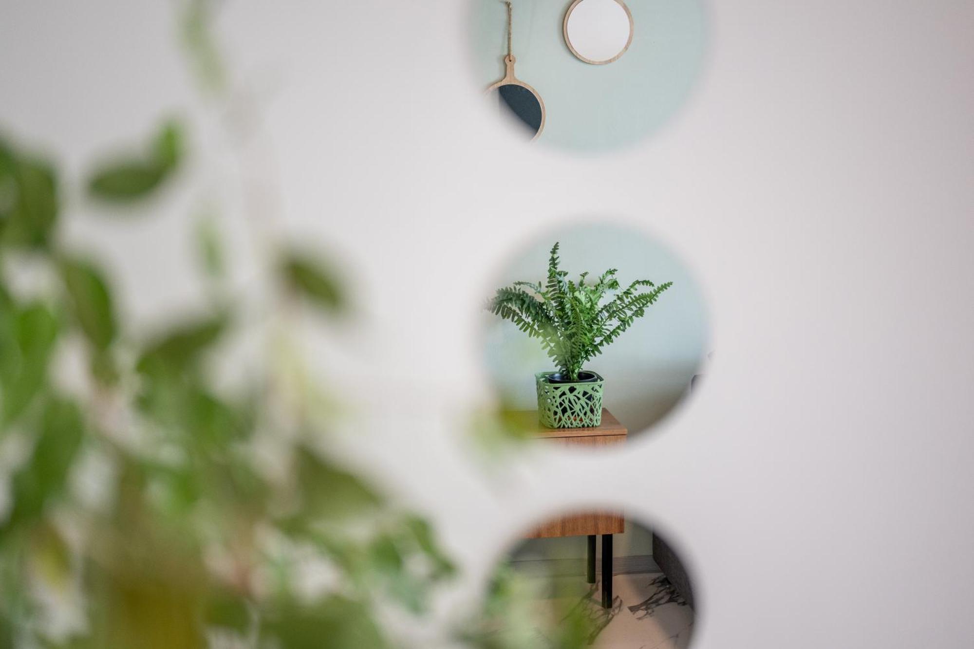 Wohlfuehlwohnung Mit 25 Qm Terrasse, Netflix Κόμπλεντς Εξωτερικό φωτογραφία